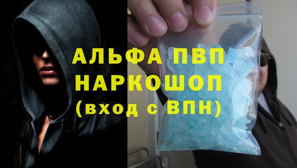 сатива Арсеньев