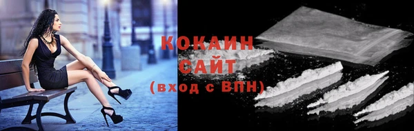 сатива Арсеньев