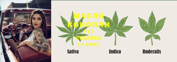 гидра Аркадак
