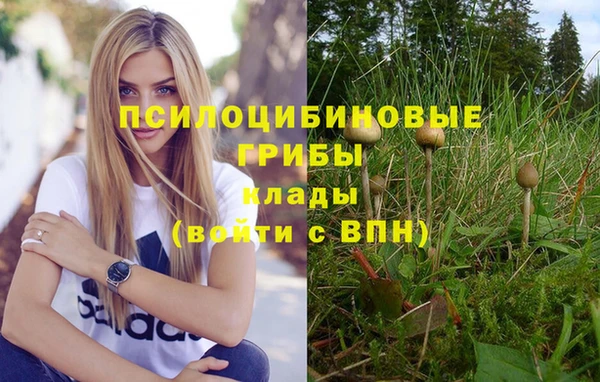 ALPHA PVP Армянск
