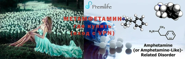 гидра Аркадак