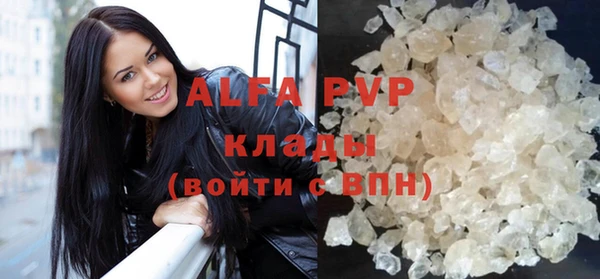 сатива Арсеньев