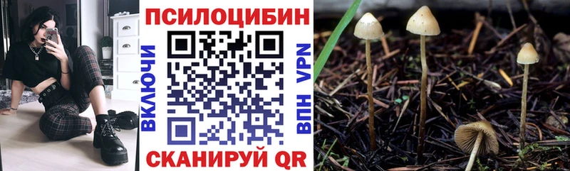 Галлюциногенные грибы GOLDEN TEACHER где продают наркотики Сафоново